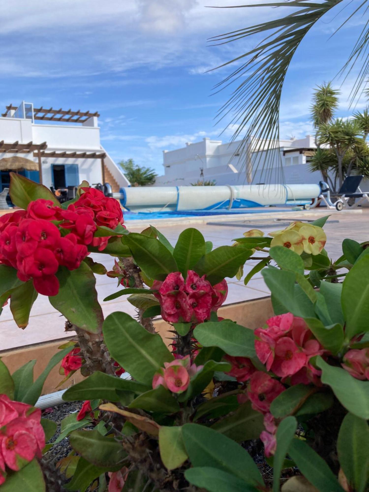 "Our Soleada" Villa Cosy And Flowery, Heated Pool Playa Blanca  Exterior photo